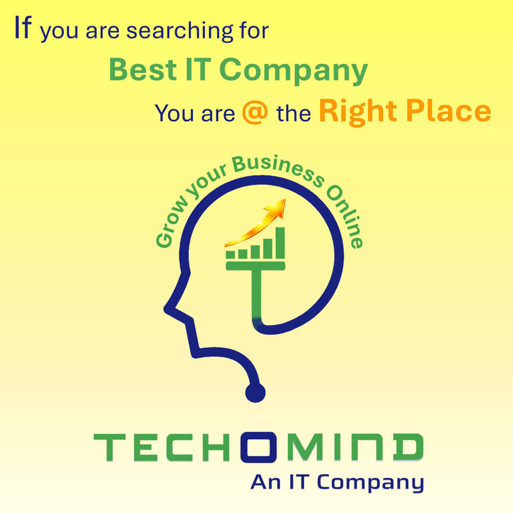 Techomind - Data-Driven Web Solutions